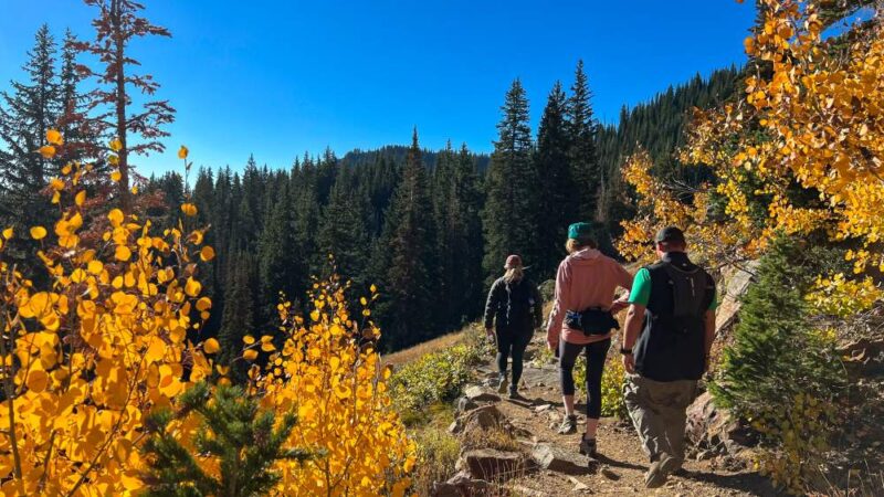 Fall trees, people on trail hiking