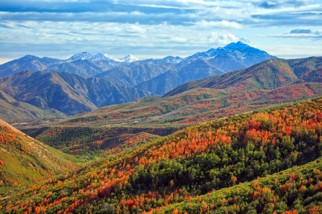 mountains fall foliage